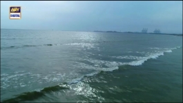 Teri Rah Mein - Episode 50 - 21st February 2022